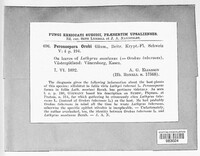 Image Associated With the Occurence